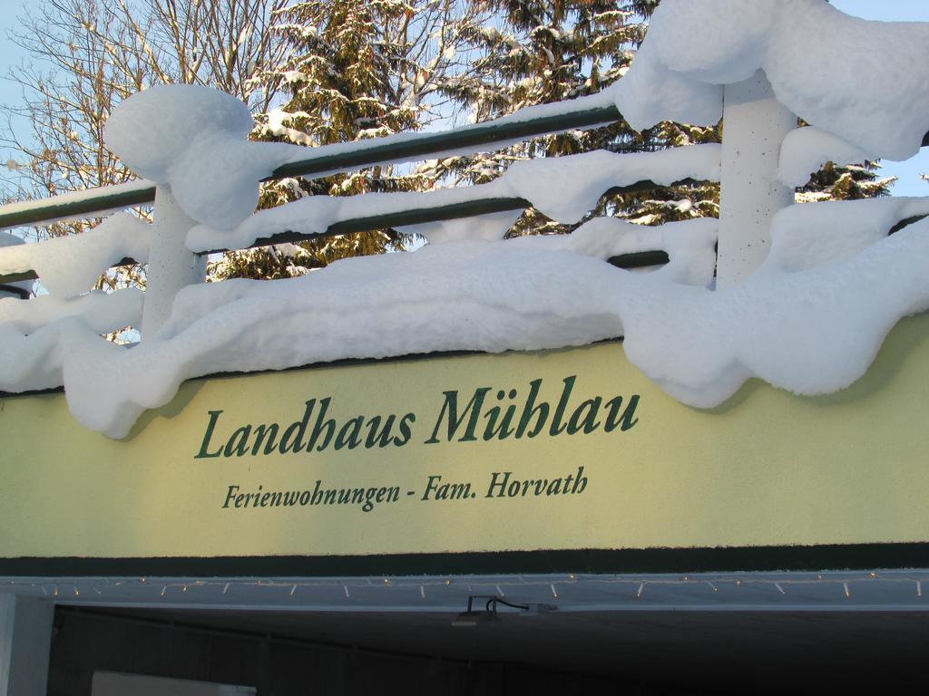 Apartment Landhaus Muehlau In Tirol Erpfendorf Eksteriør bilde